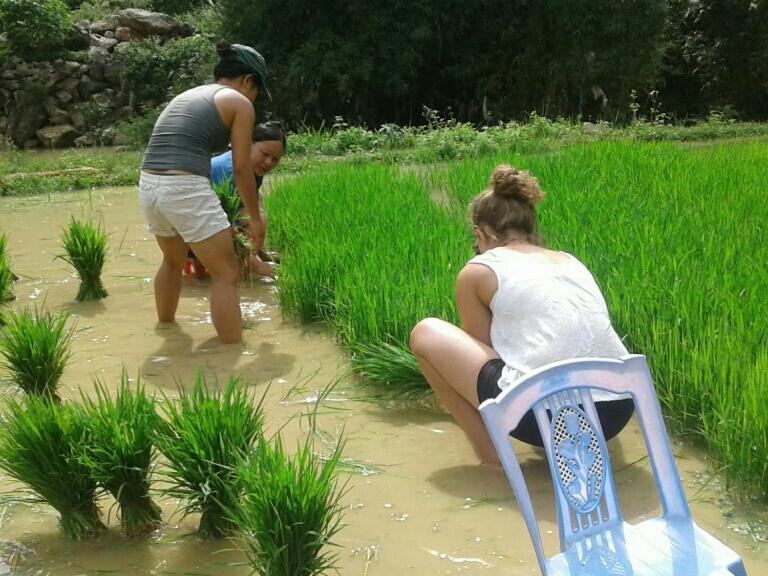 Yen Nhi Homestay Ban Gioc Cao Bang Luaran gambar